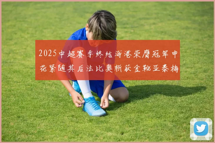 2025中超赛季终结海港荣膺冠军申花紧随其后法比奥斩获金靴亚泰梅州遗憾降级