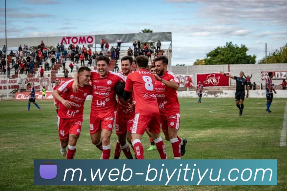 必一体育平台生态图